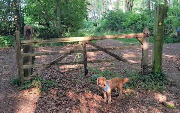 Milborne Port Magazine September 2025