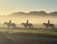 Milborne Port Magazine December 2025